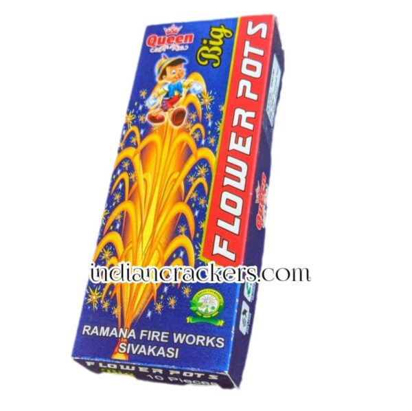 Flower Pots Big(10 Pcs)